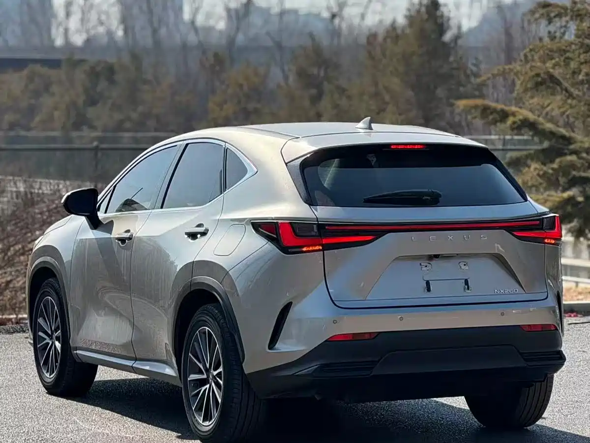 LEXUS NX