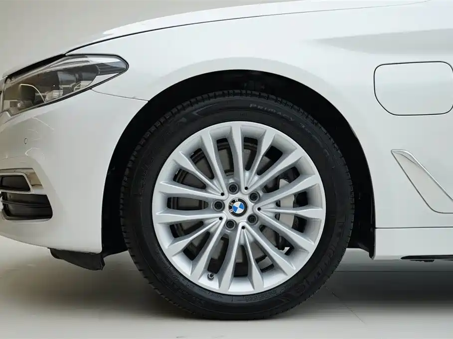 BMW 5 Series New Energy 2020 530Le Range Upgrade Luxury Package фото 15