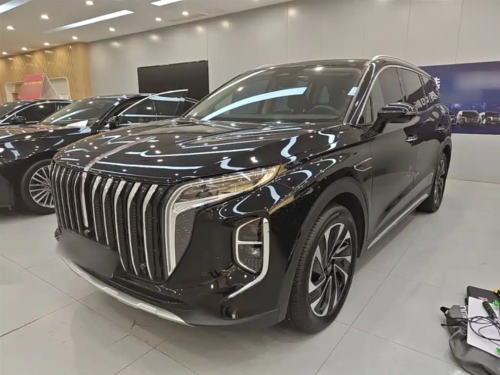 Hongqi HS7 PHEV 2024 2.0T PHEV 4WD Flagship Edition 6-seater фото 2