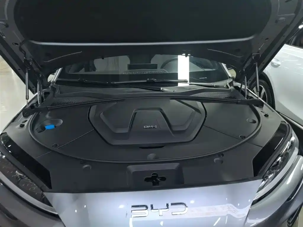 BYD Song PLUS PHEV 2025 DM-i 112KM Honor фото 20