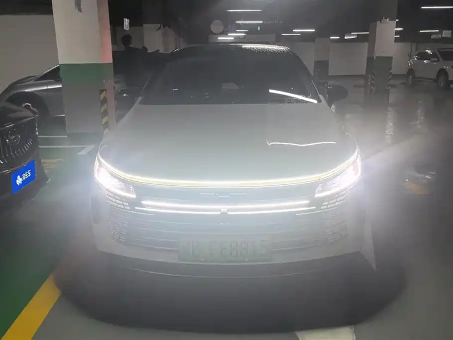 BYD Destroyer 05 2024 Glory Edition DM-i 55KM Luxury фото 2