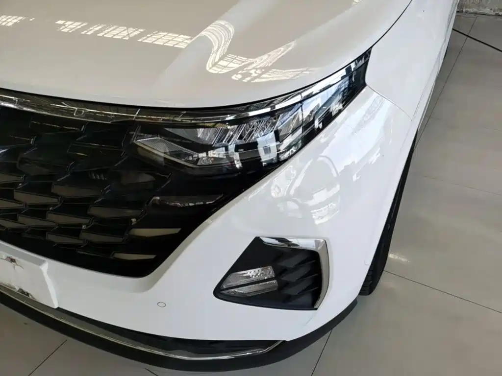 Photo 24 - Hyundai Custo
