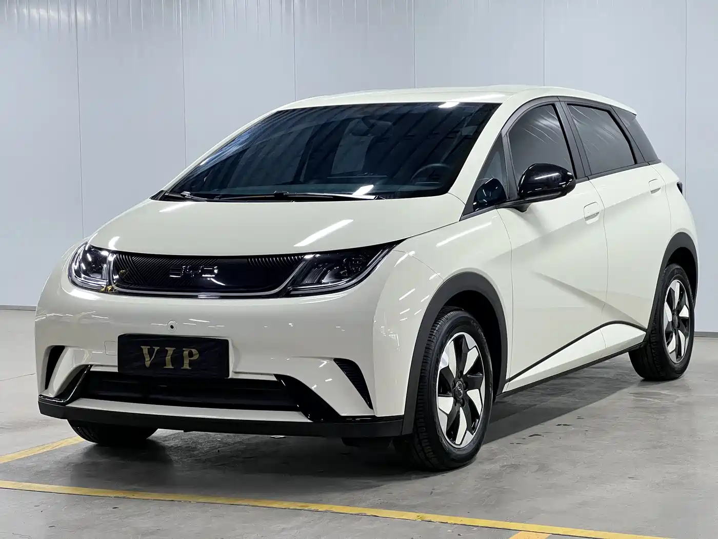 BYD Dolphin 2026 2025 420km Freedom Edition