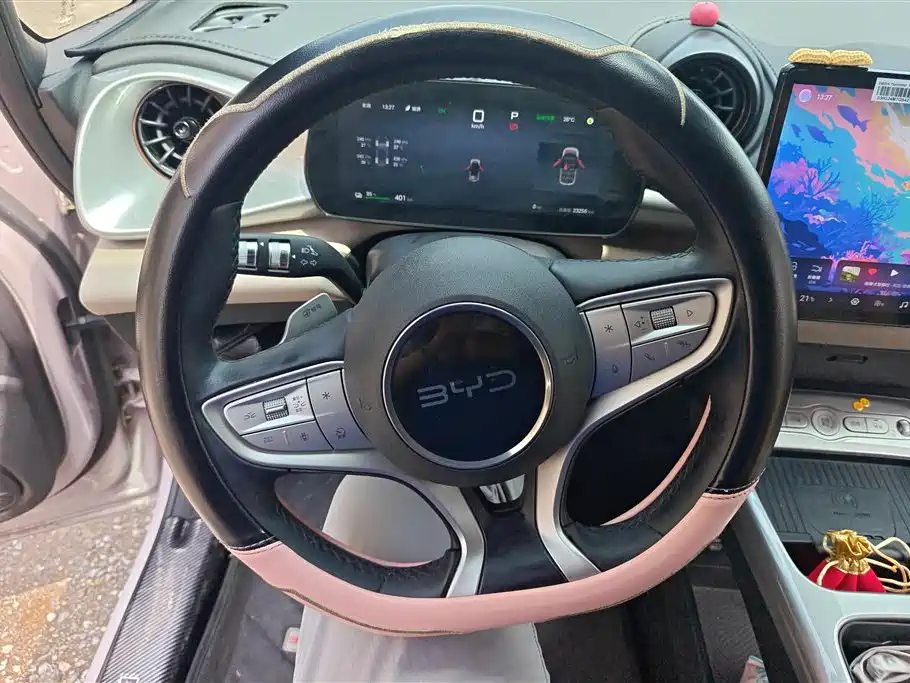 BYD Dolphin 2025 Smart Drive Edition 420km Freedom Version фото 15