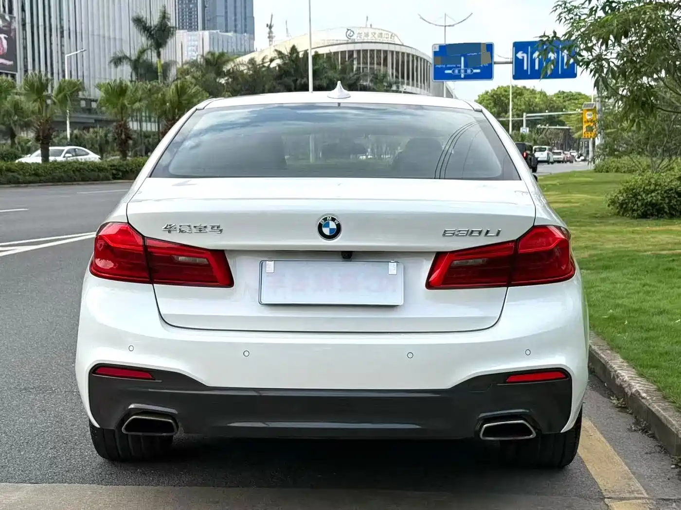 BMW 5 Series 2020 530Li Leading M Sport Package фото 5