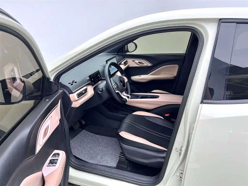 BYD Seagull 2024 Glory Edition 305km Freedom Edition фото 11