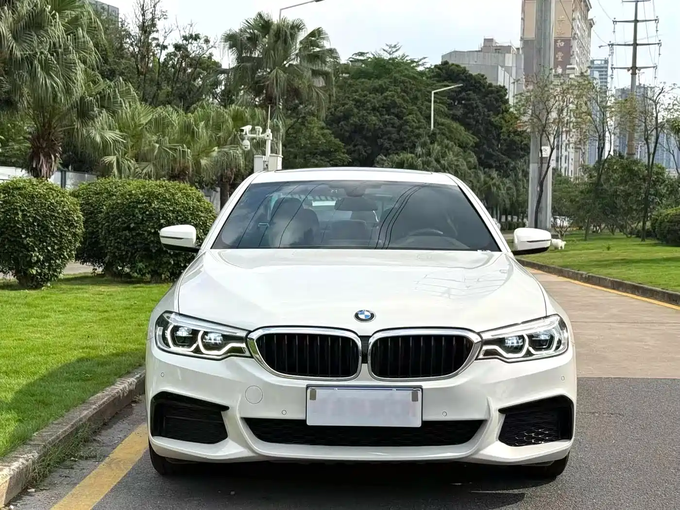 BMW 5 Series 2020 530Li Leading M Sport Package фото 4