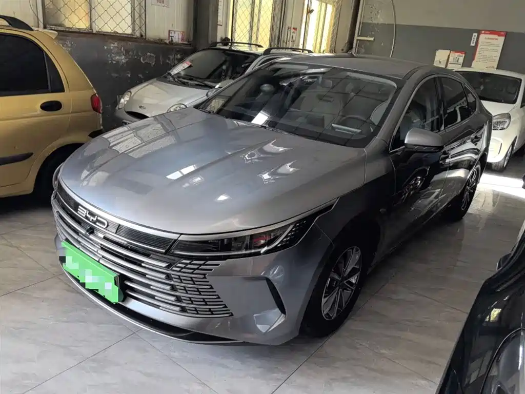 BYD Destroyer 05 2024 Glory Edition DM-i 55KM Luxury