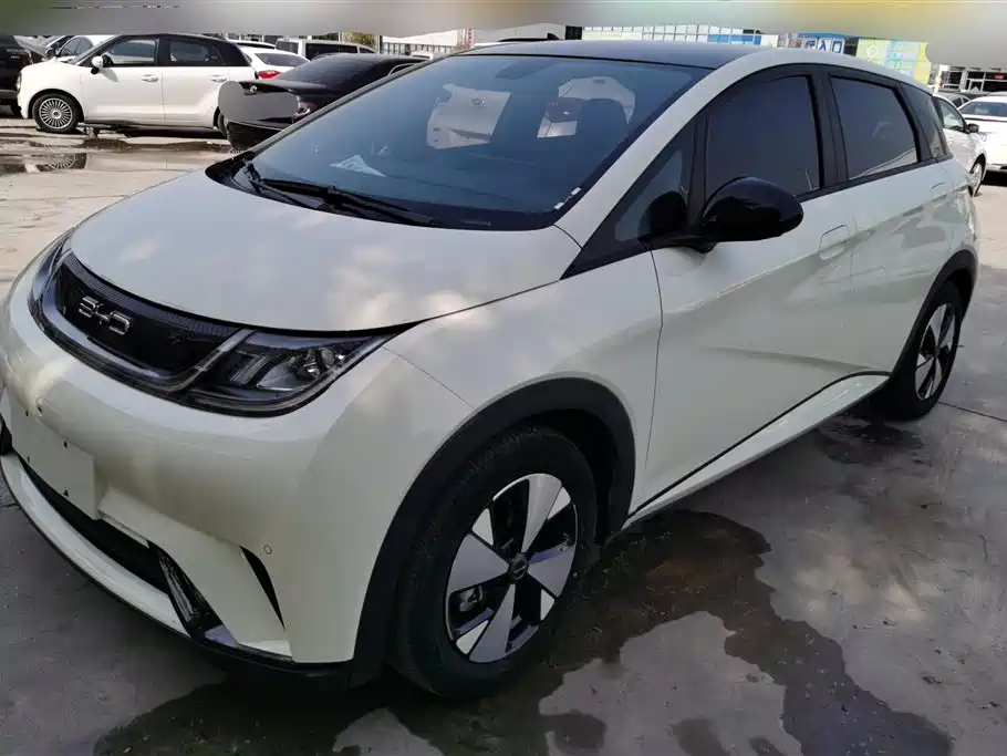 BYD Dolphin 2023 420km Fashion Edition