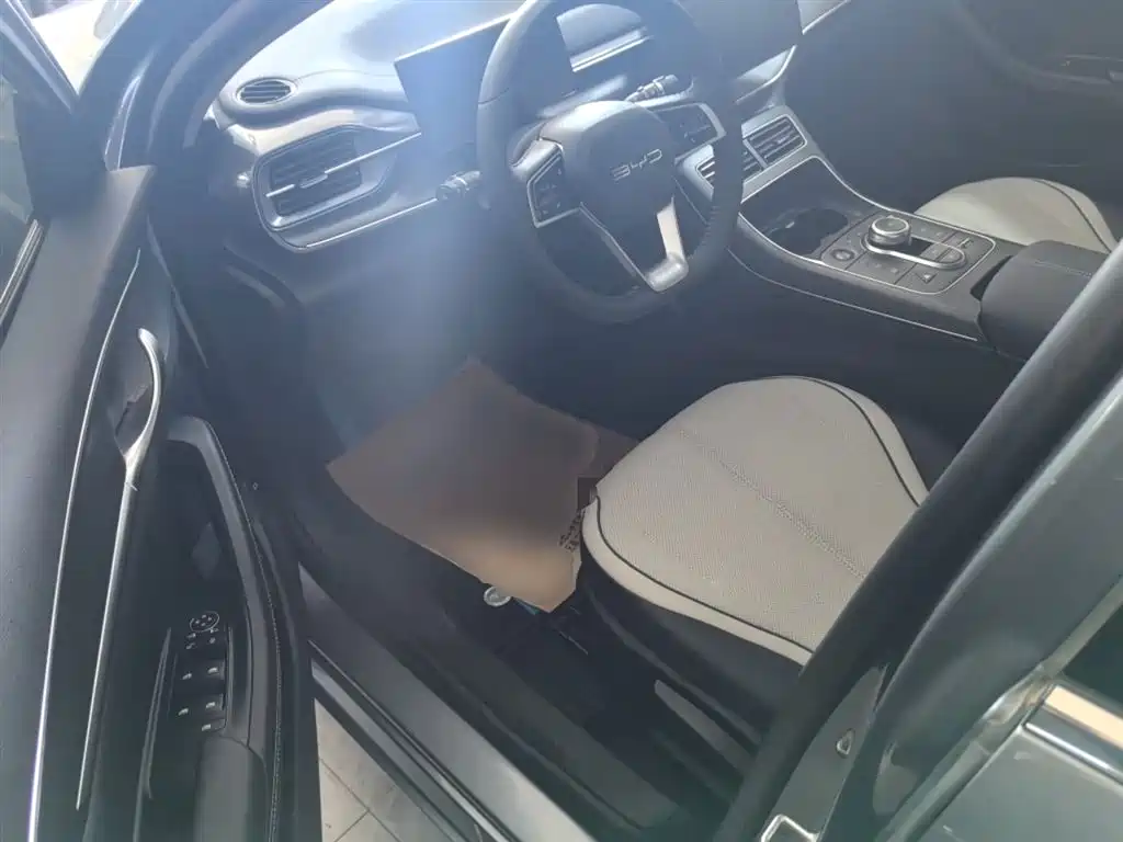 BYD Destroyer 05 2024 Glory Edition DM-i 55KM Luxury фото 12