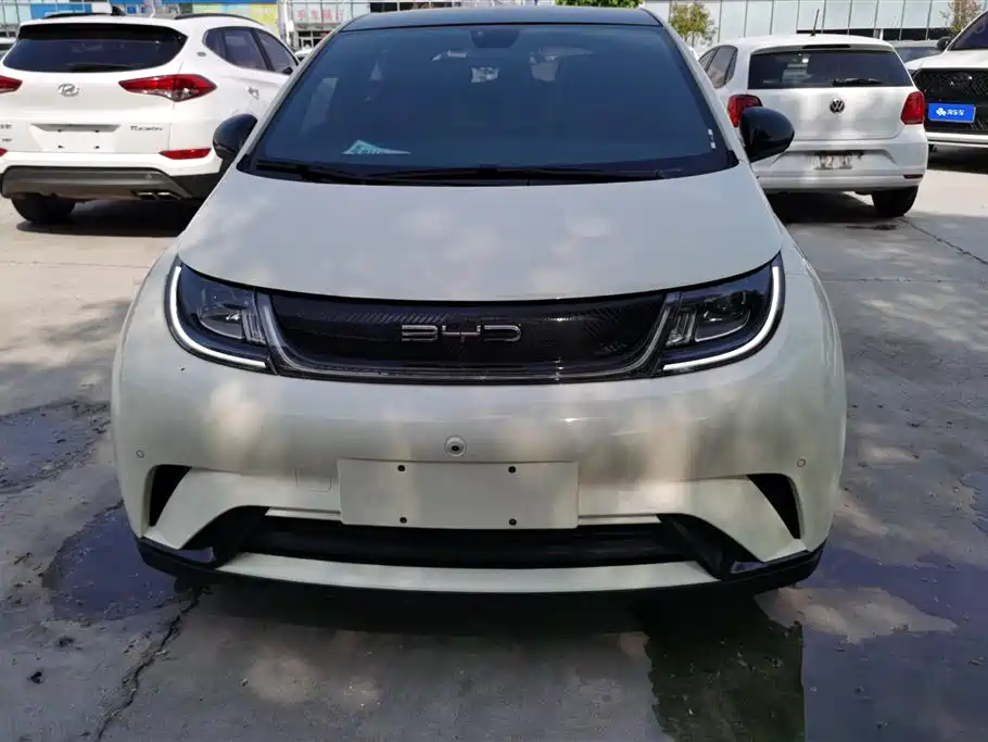 BYD Dolphin 2023 420km Fashion Edition фото 2