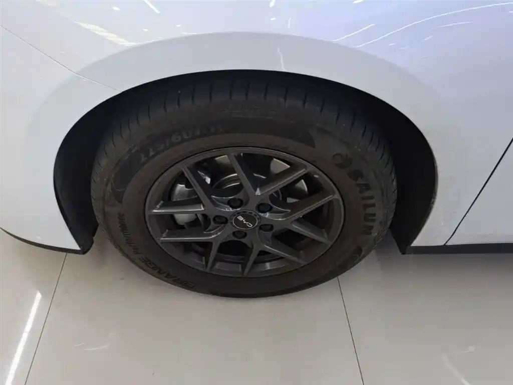 BYD Seal 06 New Energy 2024 DM-i 80KM Luxury фото 23