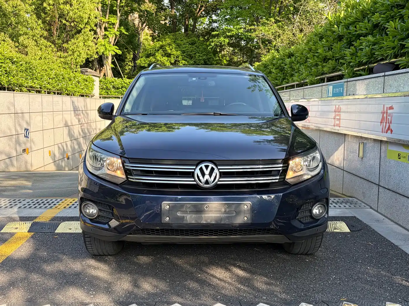 Фото 2 - Volkswagen Tiguan