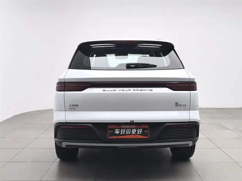 BYD Song Pro New Energy 2024 Glory Edition DM-i 110KM Excellence фото 4