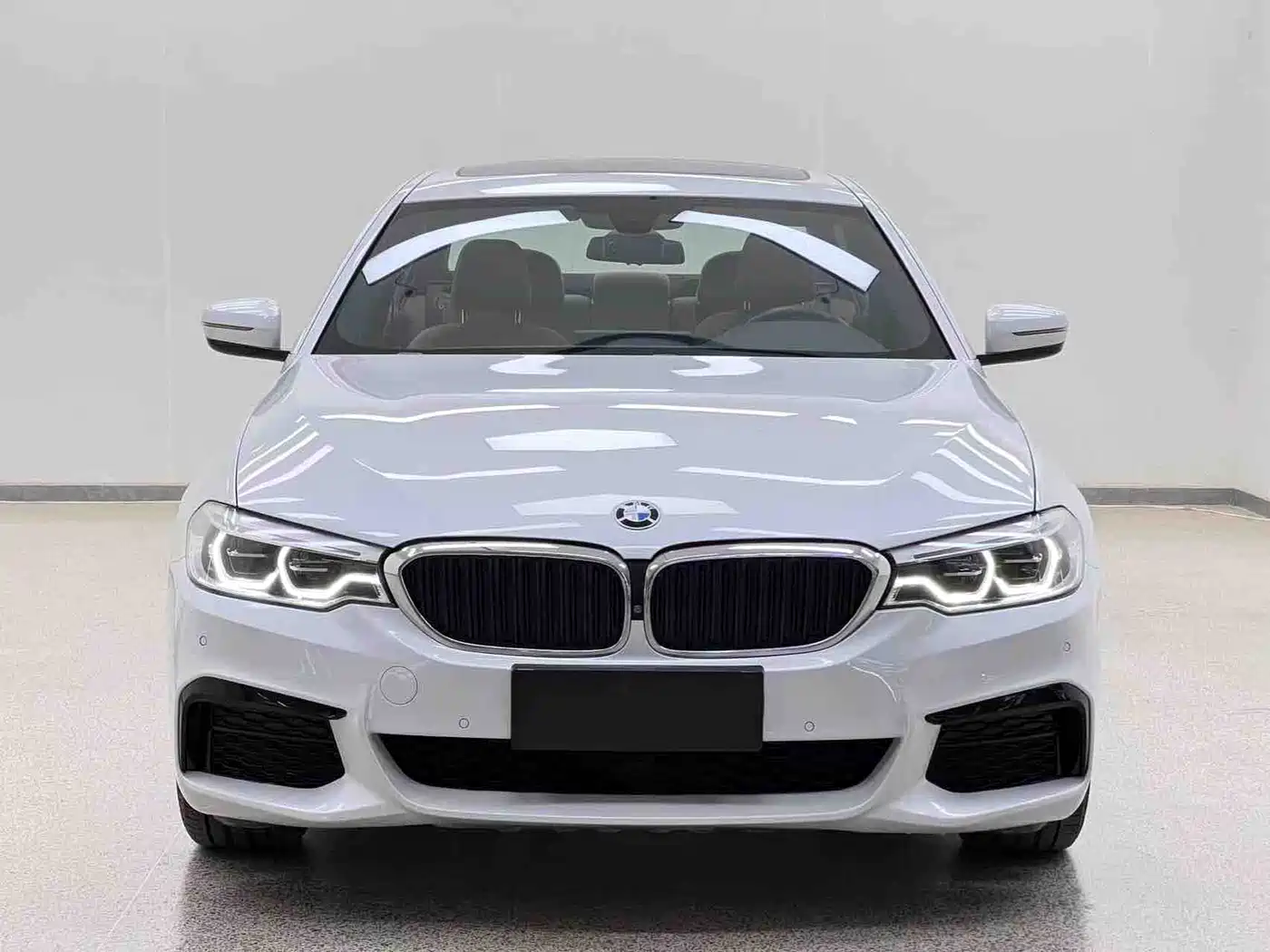 BMW 5 Series 2020 530Li Leading M Sport Package фото 2
