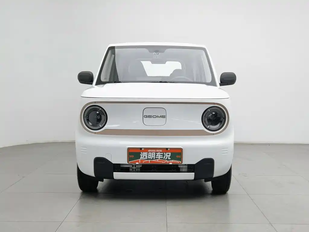 Photo 3 - Geely Galaxy Panda