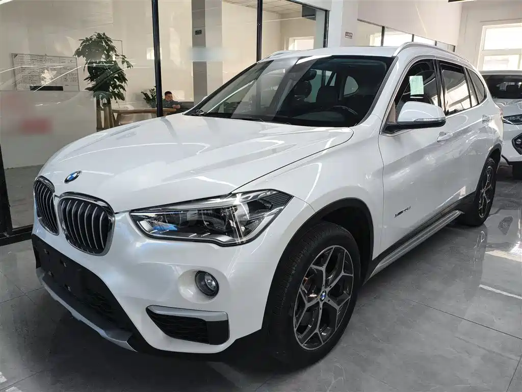 BMW X1 2018 xDrive20Li Premium Model