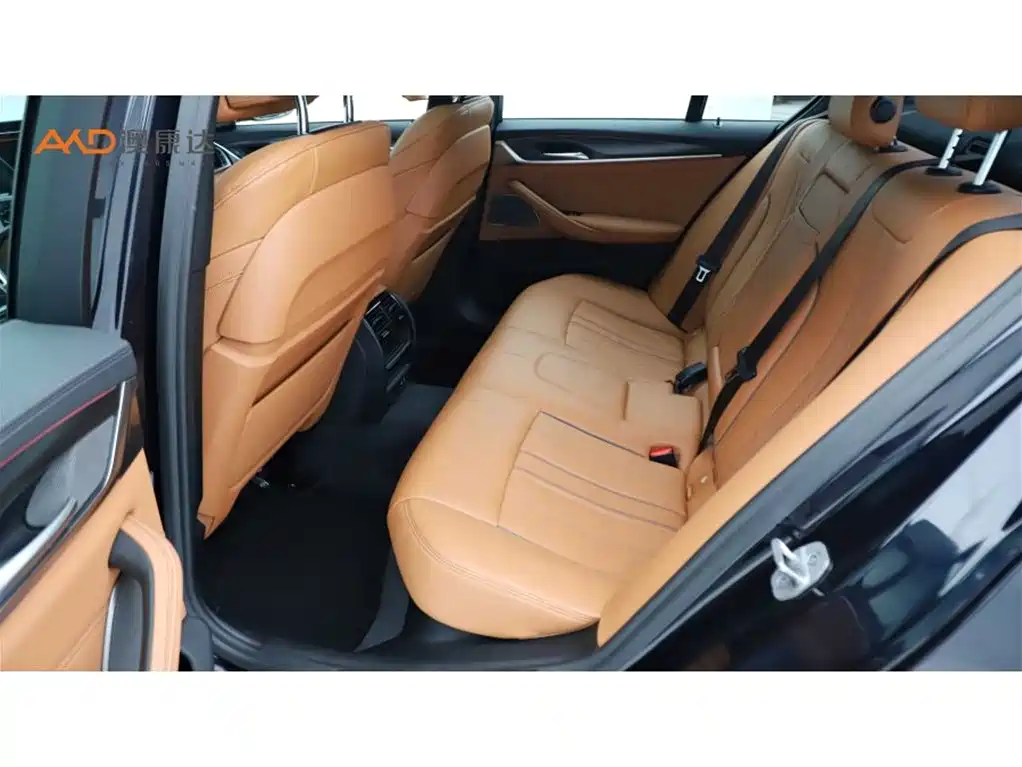 BMW 5 Series (Import) 2021 530i Style Edition M Sport Package фото 7