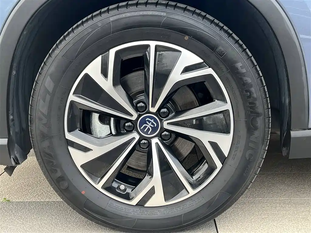 BYD SONGJIANG NEW ENERGY