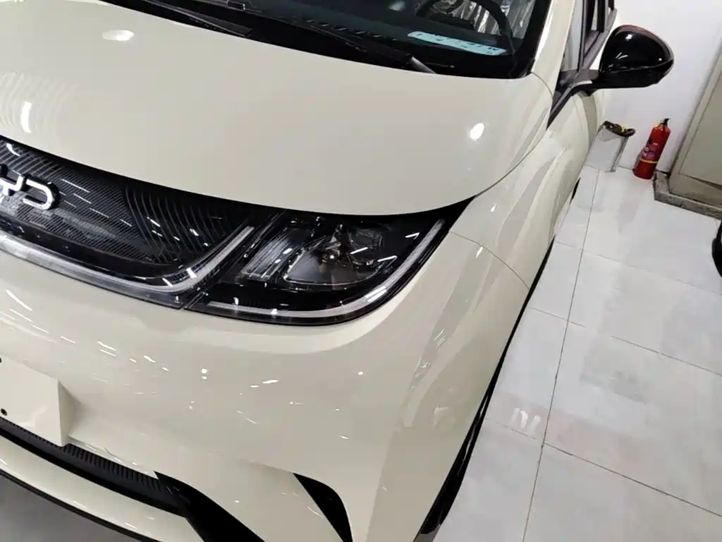 BYD Dolphin 2026 2025 420km Freedom Edition