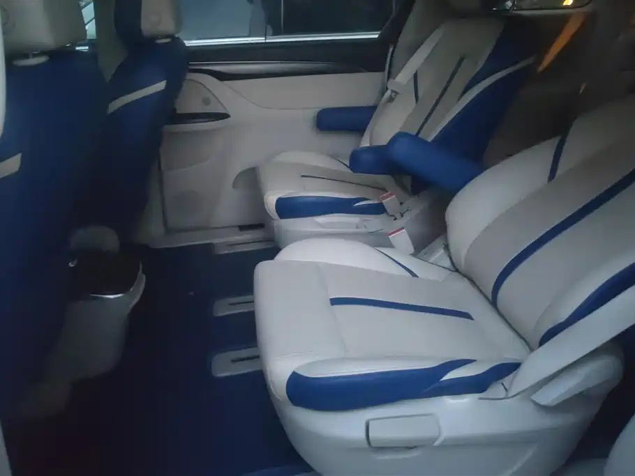 Buick GL8 2023 ES Landmaster Comfort фото 11