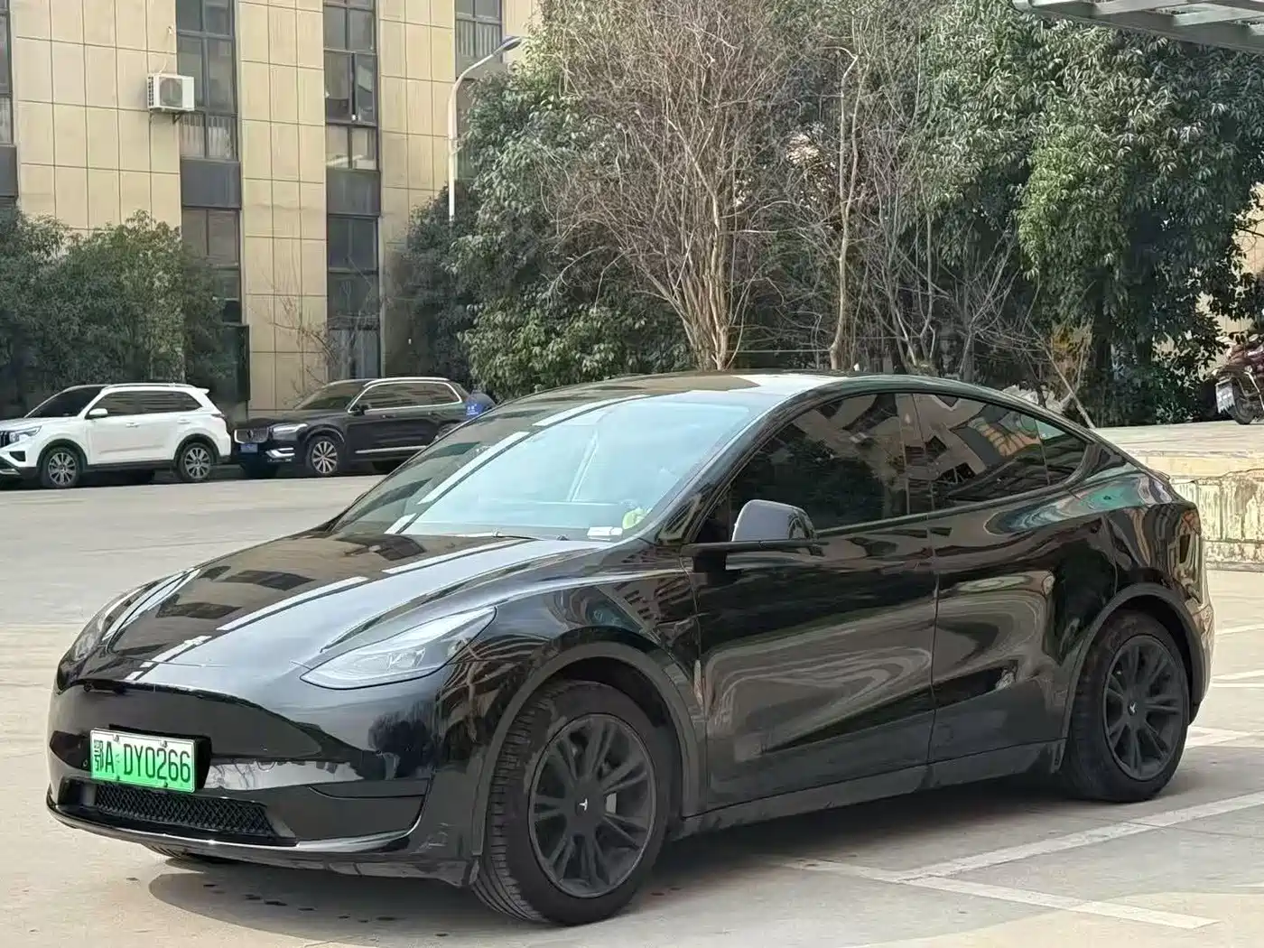 TESLA MODEL Y