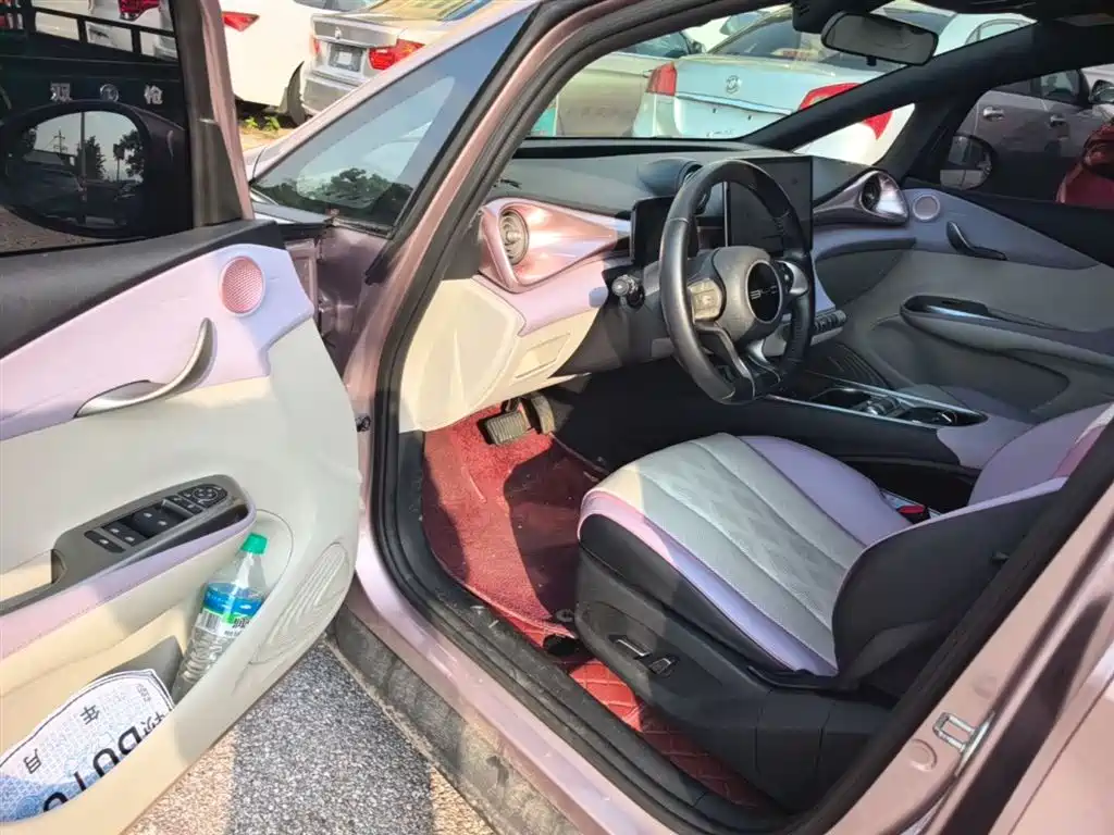 BYD Dolphin 2023 420km Fashion Edition фото 12