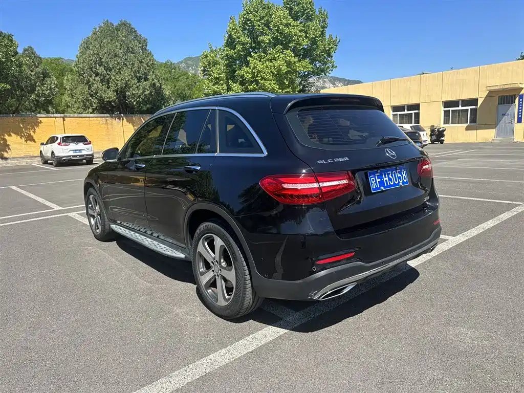 Mercedes-Benz GLC 2017 GLC 260 4MATIC Luxury фото 8