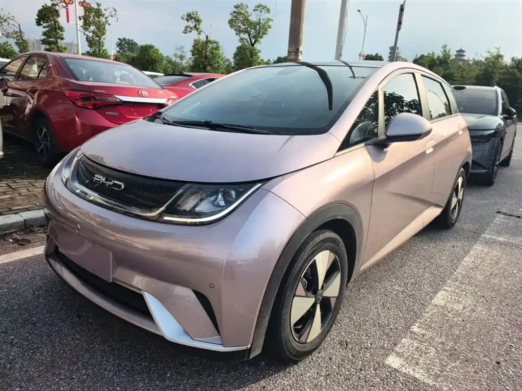 BYD Dolphin 2023 420km Fashion Edition