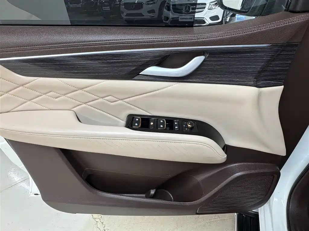 Dongfeng Fengdu Paladin 2023 Model 2.0T 4WD Premium Edition фото 15