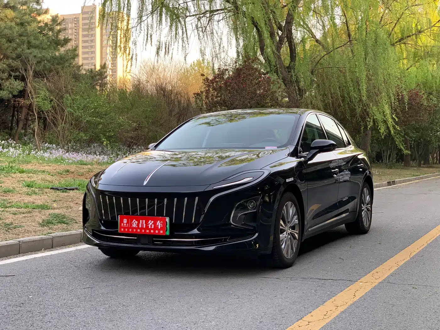 Hongqi E-QM5 2022 431km Charging Enjoyment Edition