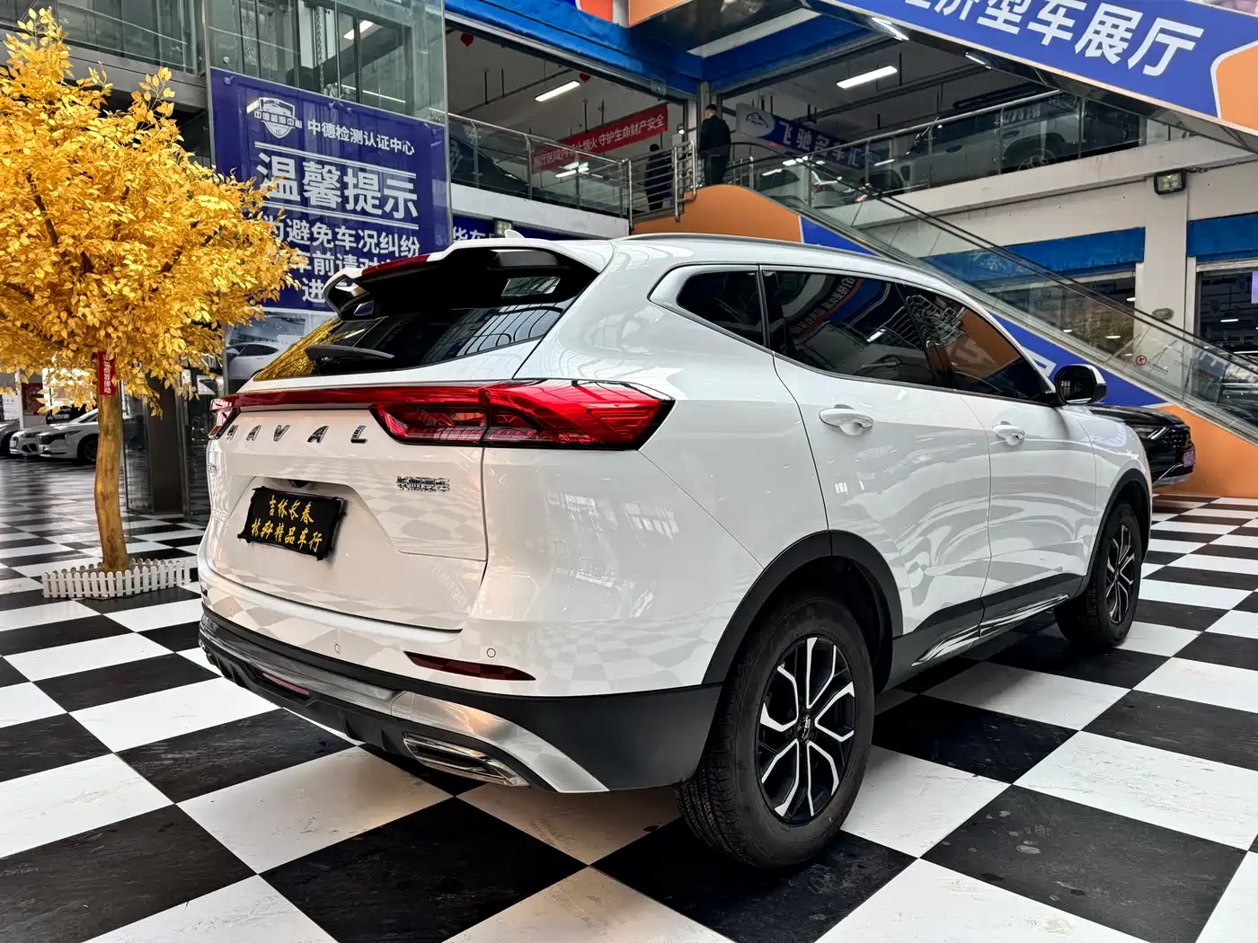 HAVAL H6