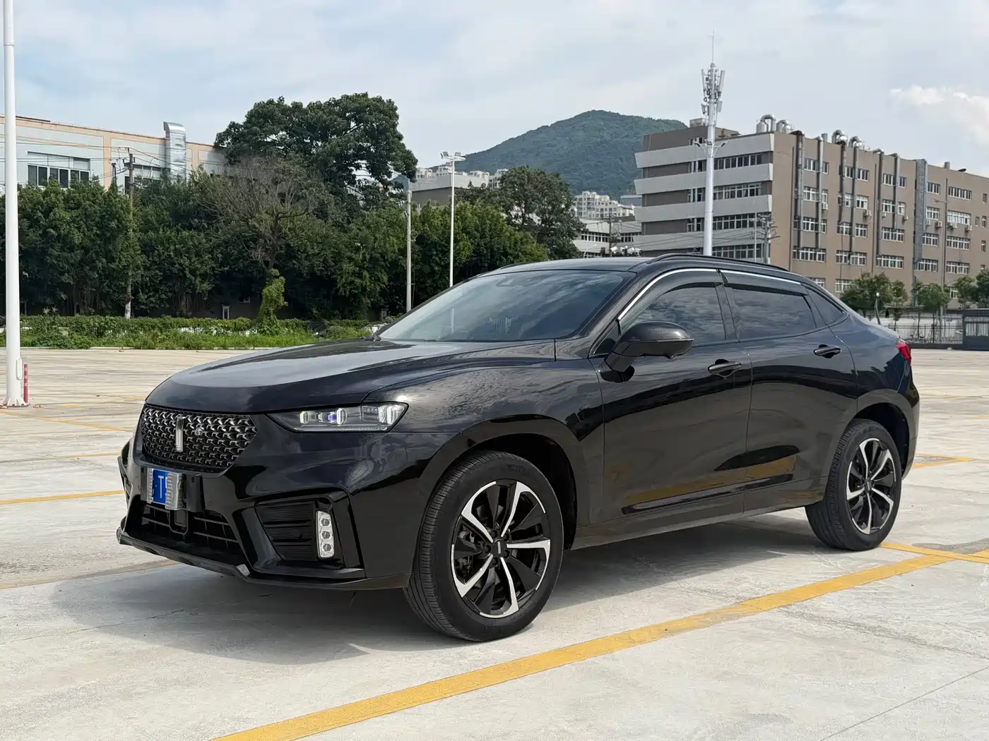 WEY Wei VV7 GT 2020 2020 2.0T Flagship