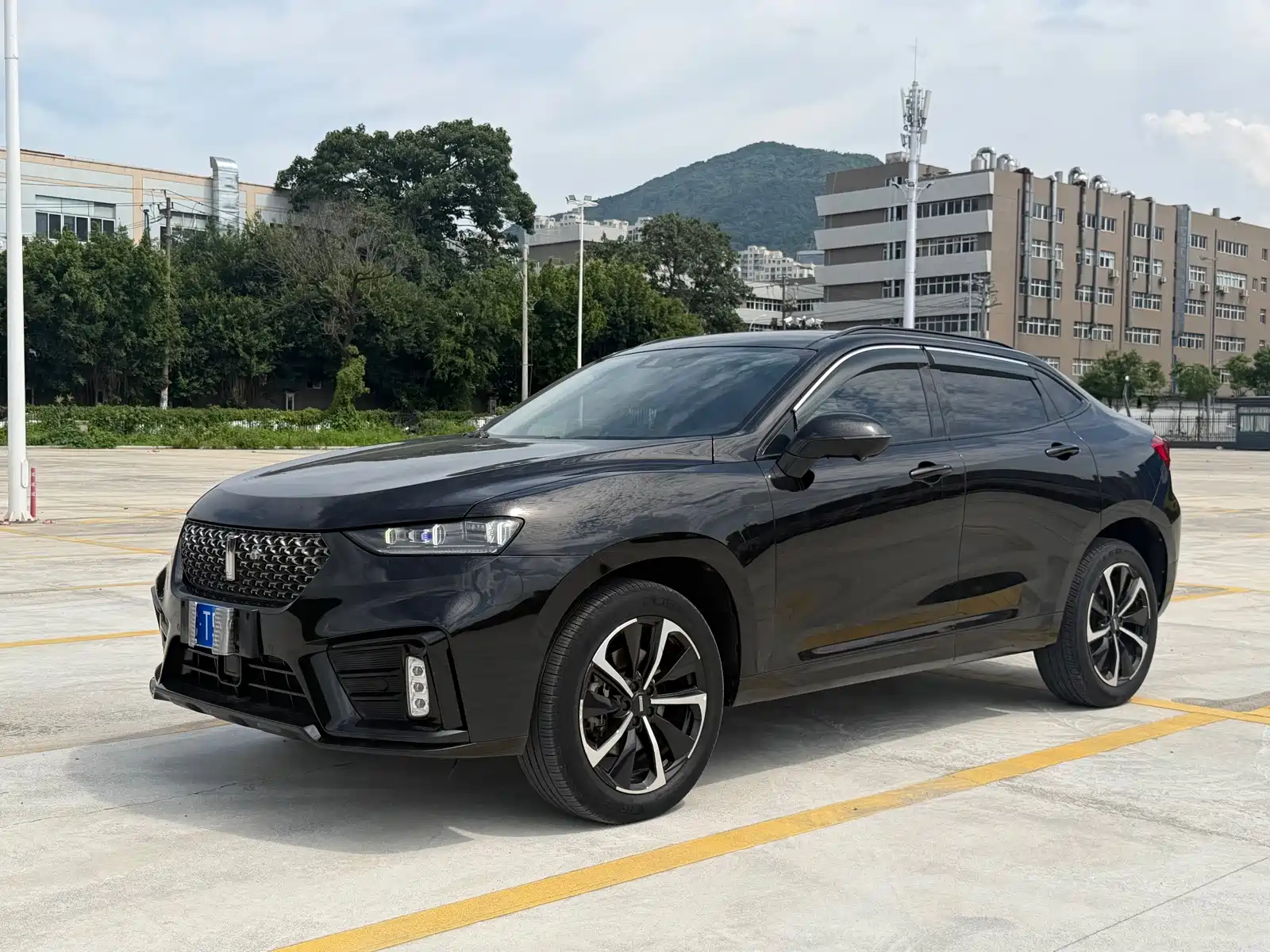 Фото 1 - WEY Wei VV7 GT