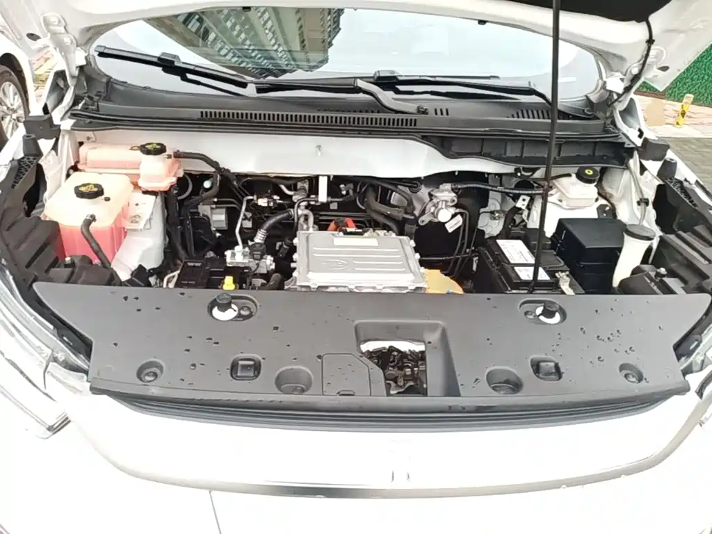 BYD Yuan Pro 2021 2021 401KM Luxury Model