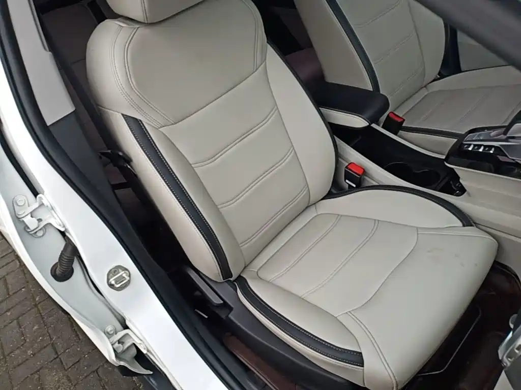 BYD Yuan Pro 2021 2021 401KM Luxury Model