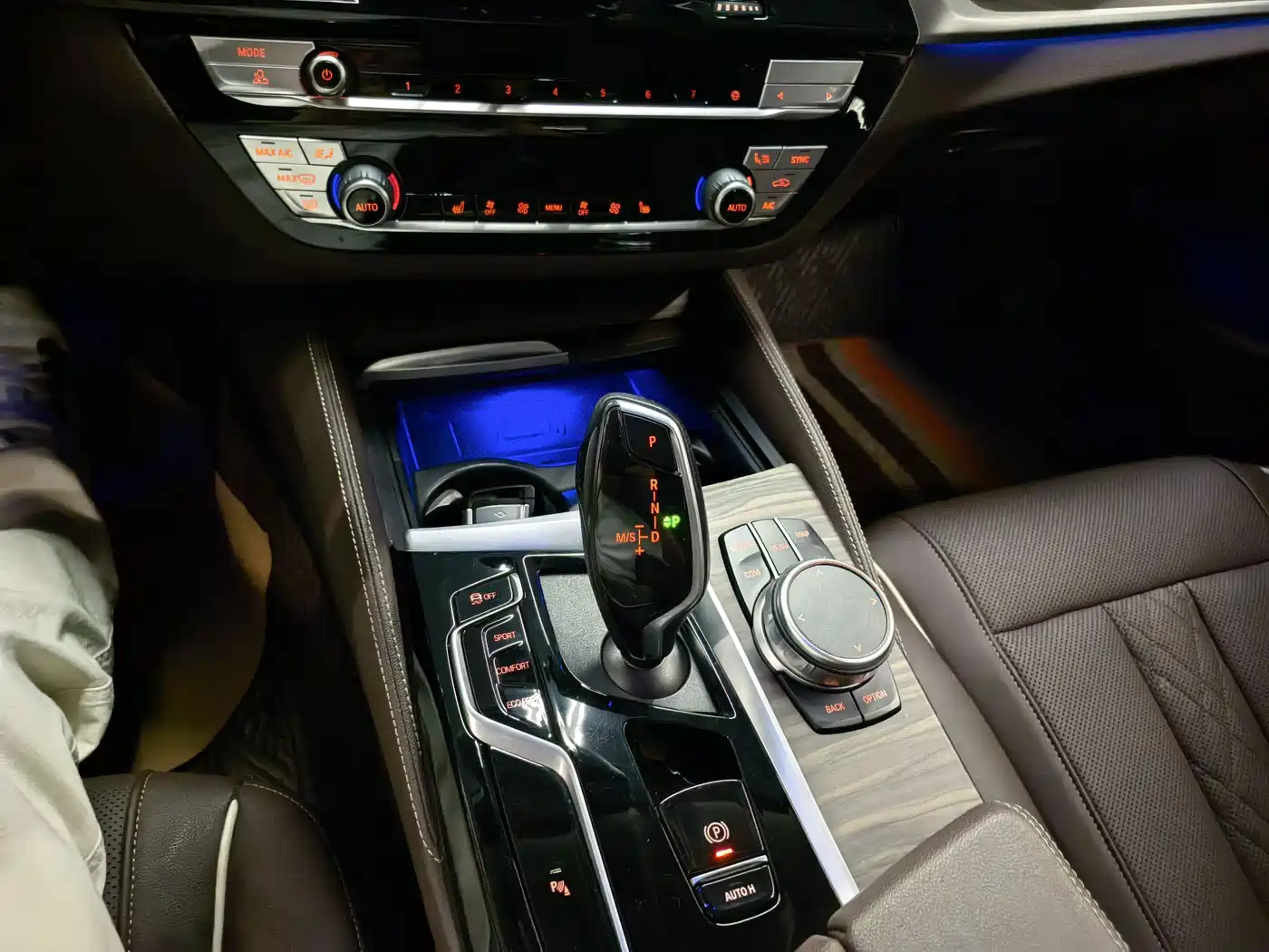 BMW 5 Series 2021 530Li Leading Luxury Package фото 12