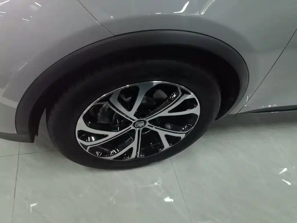 BYD Tang New Energy 2025 2025 DM-i 115KM Prestige Type