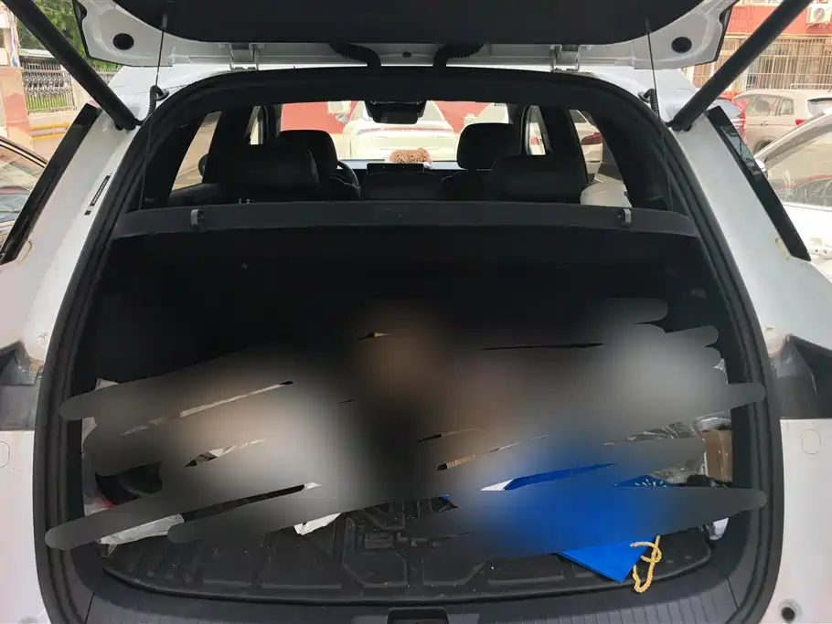 BYD Song Pro New Energy 2025 2nd Generation Smart Drive Edition DM-i 75KM Surpassing Type фото 4