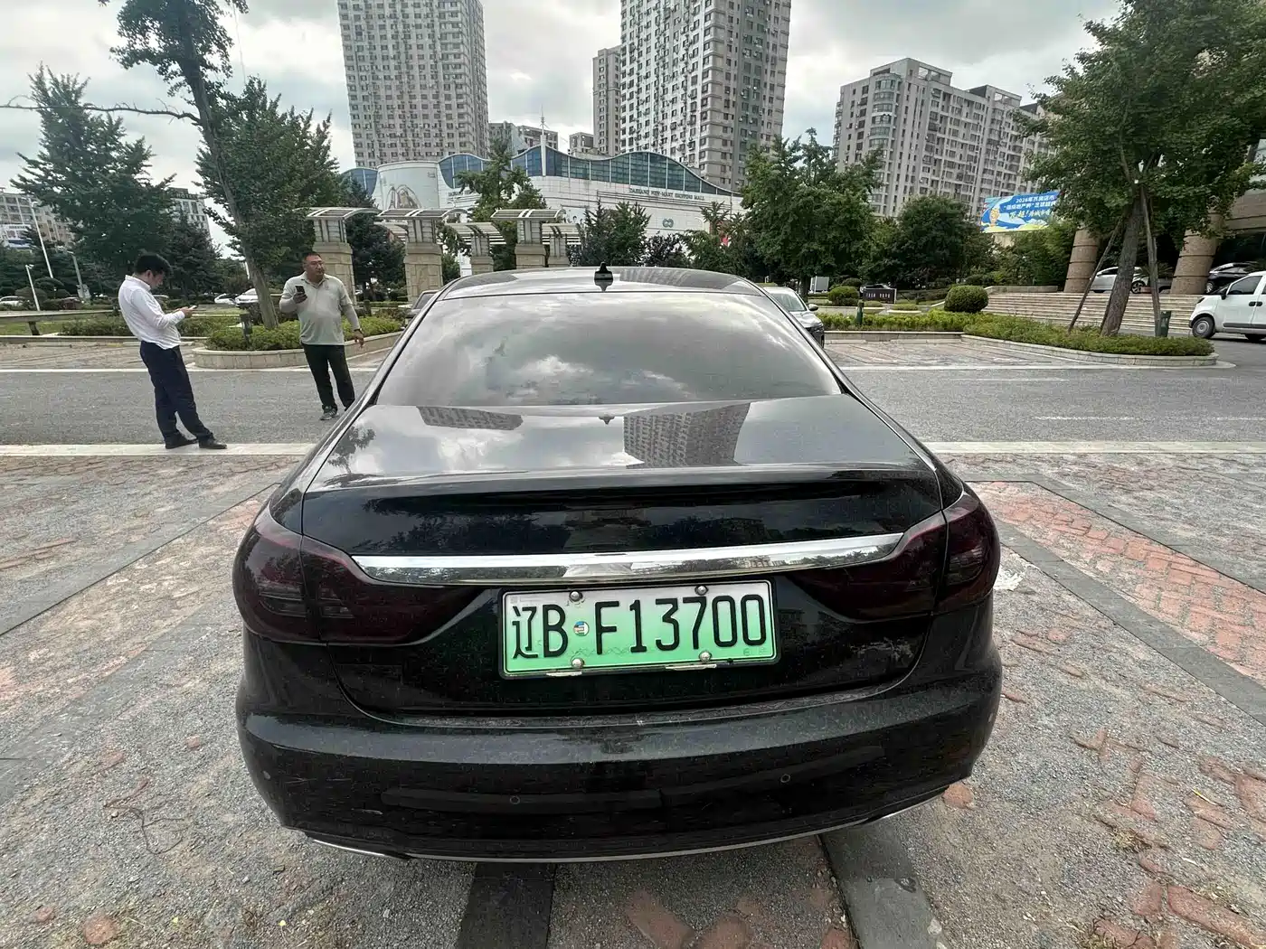 Hongqi H7 2019 2019 2.0T Flagship Edition