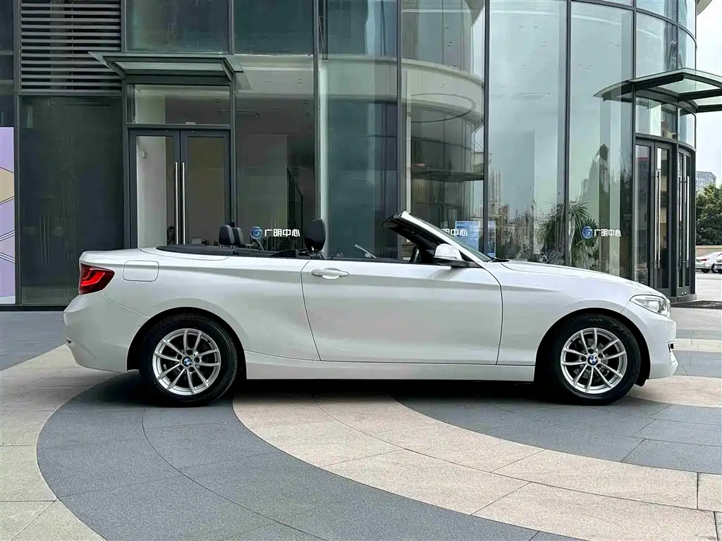 BMW 2 Series (Import) 2015 218i Convertible Coupe фото 26