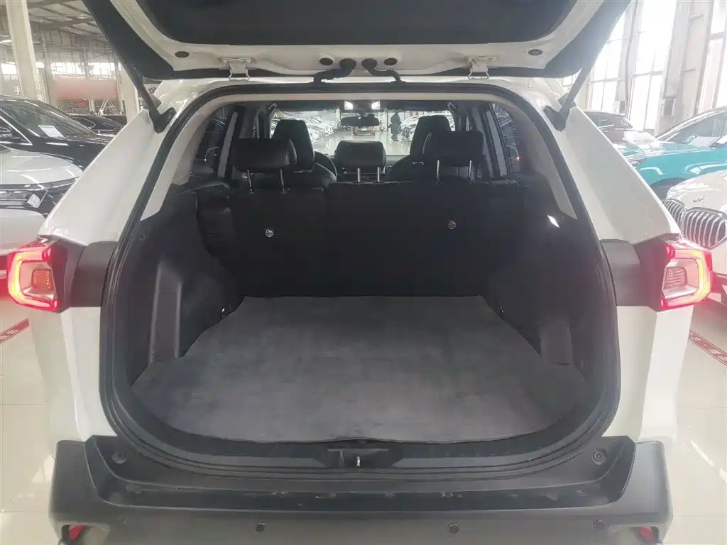 Toyota Wildlander 2023 2.0L CVT FWD LE фото 19