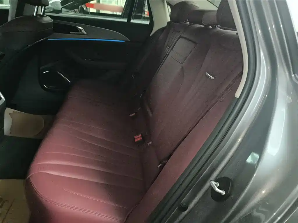 Hongqi H5 2023 2.0T Auto Smart Connect Flag Comfort фото 17