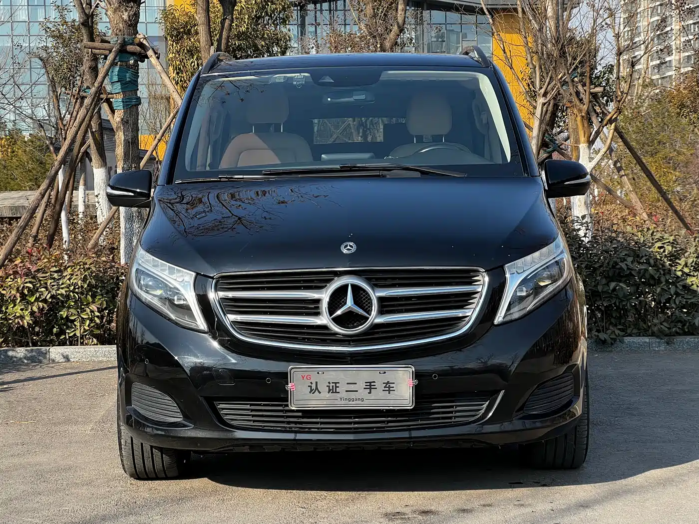Mercedes-Benz V-Class 2018 V 260 Pilot Edition China V фото 2