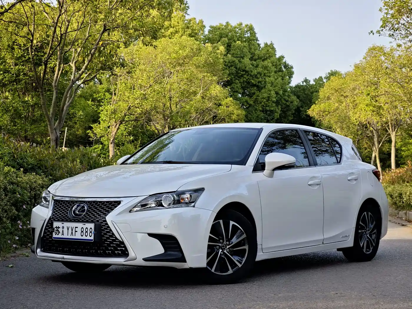 Lexus CT 2017 CT200h Elite Edition Monochrome China V