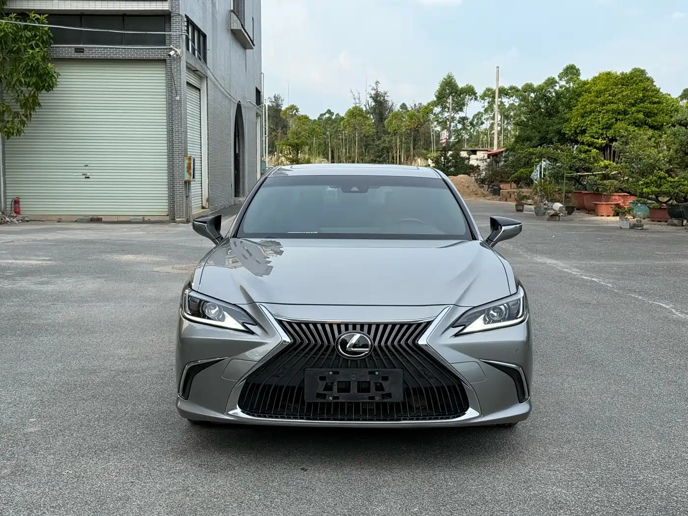 Lexus ES 2018 260 Excellence Edition China V фото 2