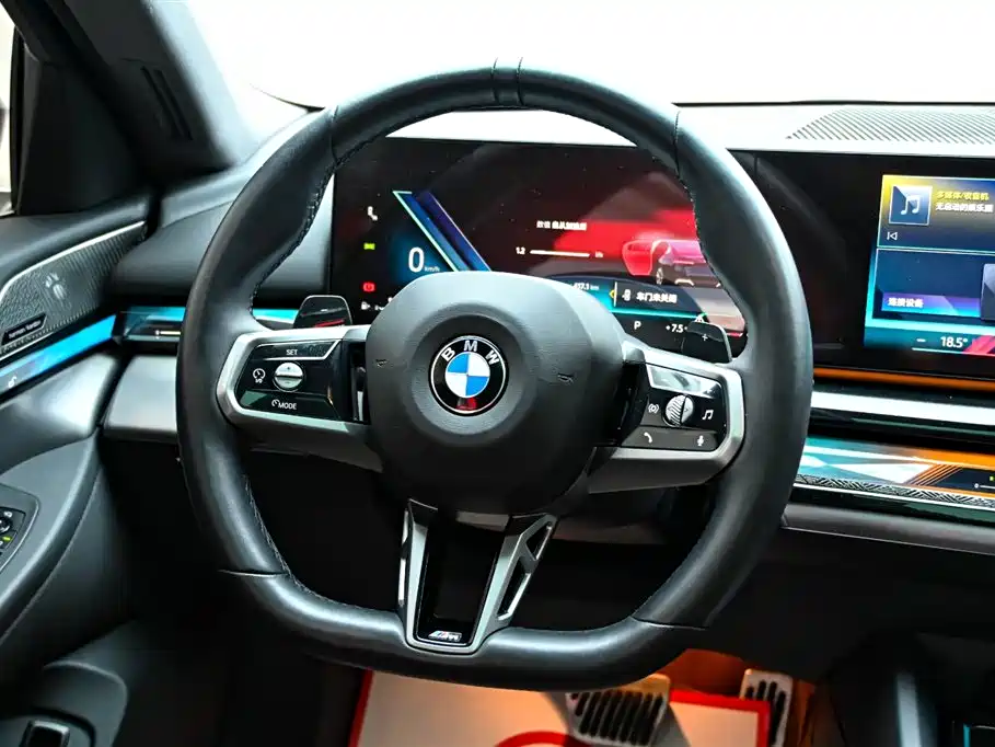 BMW 5 Series 2024 530Li Leading M Sport Package фото 19