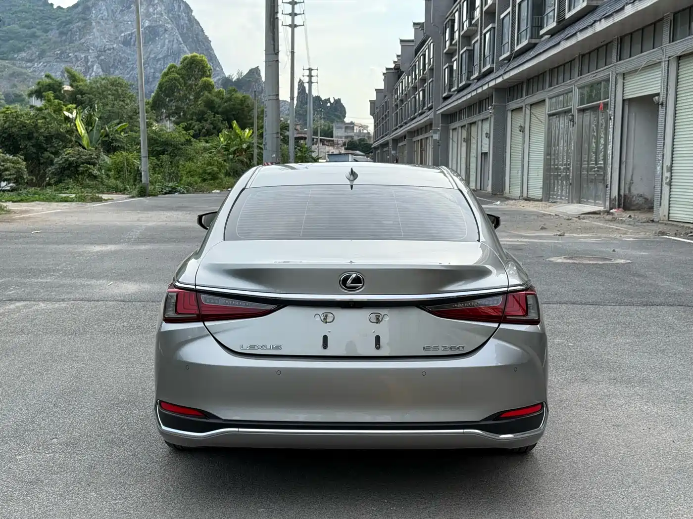 Lexus ES 2018 260 Excellence Edition China V фото 8