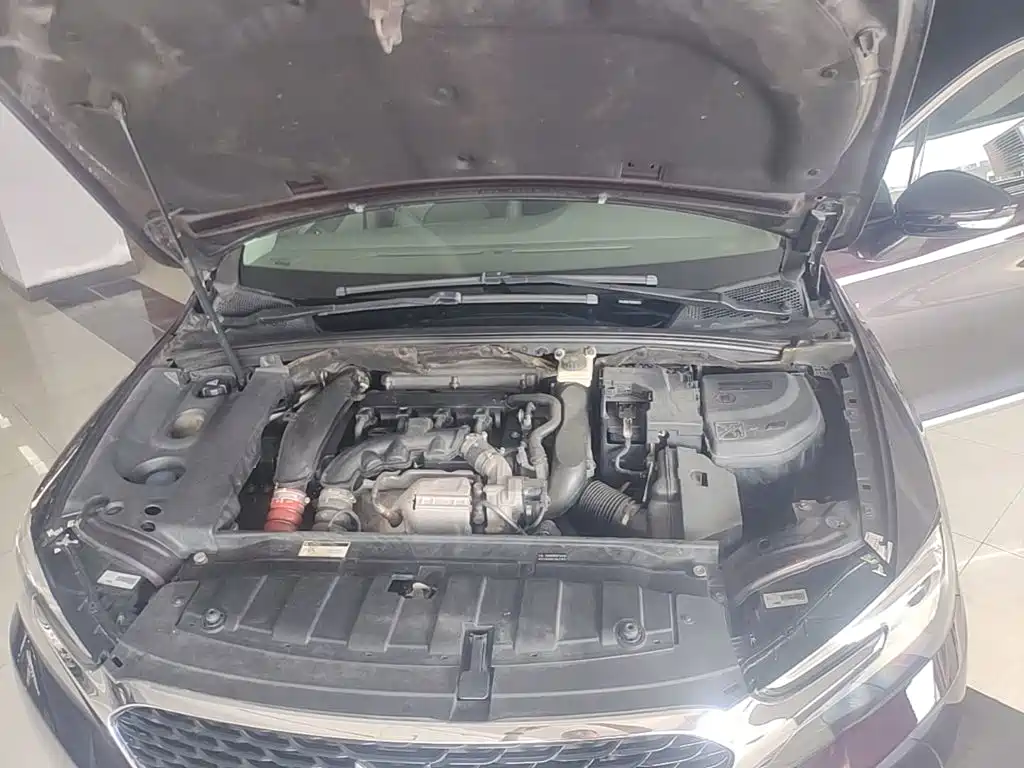 DS 5LS 2015 2014 1.6T Luxury THP160