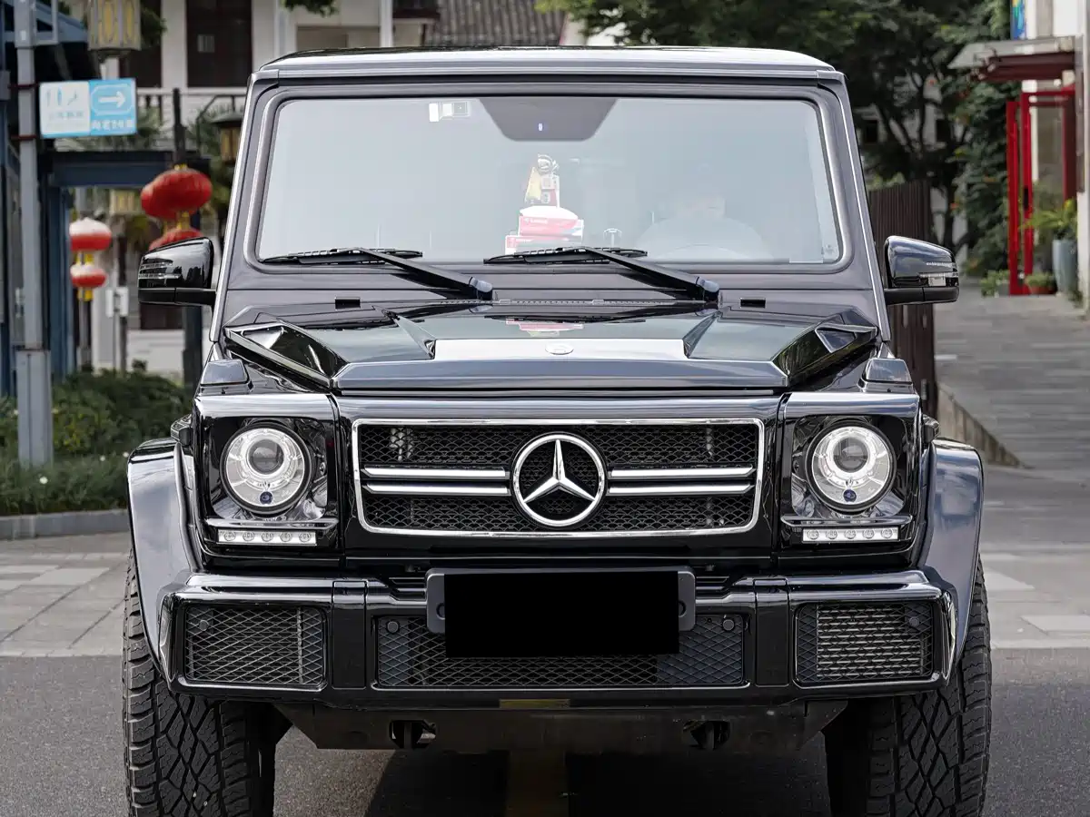 Mercedes-Benz G-Class 2016 G 500 фото 2